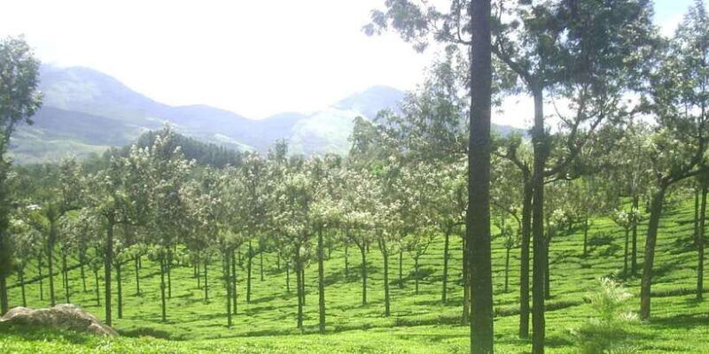 the-pekoe-trail-stage-14st-catherine-to-makulella