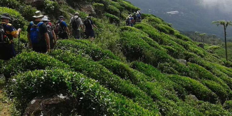 the-pekoe-trail-stage-14st-catherine-to-makulella