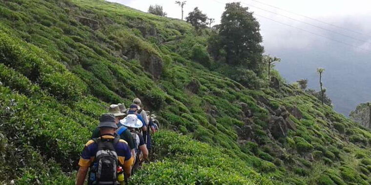 the-pekoe-trail-stage-14st-catherine-to-makulella