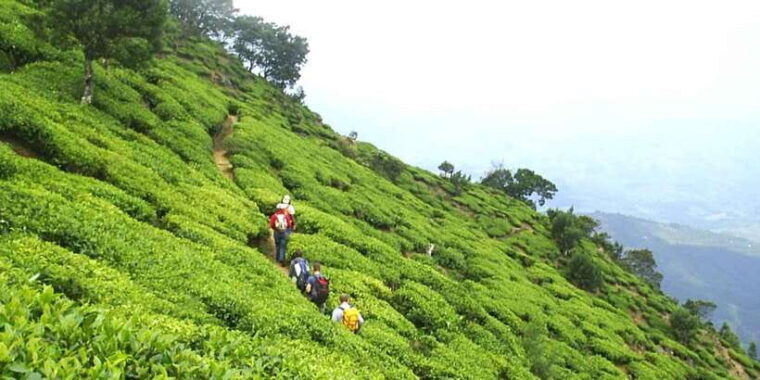 the-pekoe-trail-stage-14st-catherine-to-makulella