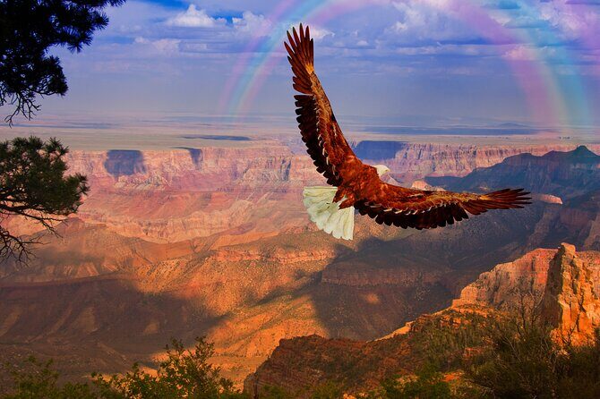 The Perfect Grand Canyon Tour with Local Expert Guides - The Sum Up