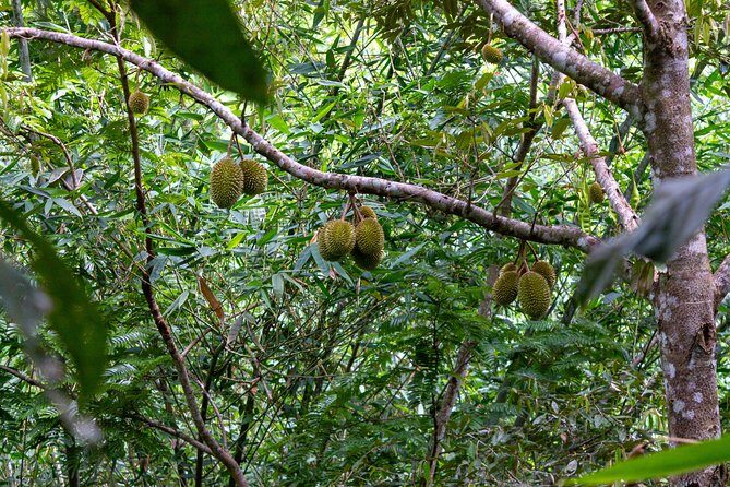 The Phuket Rites of Passage Eco Adventure - The Itinerary Breakdown