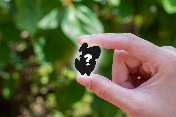 The Piece-ful General - Ransack Puzzle Hunt - FAQ