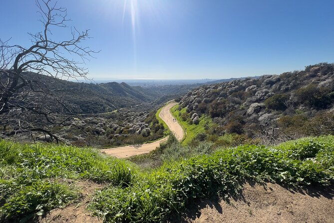 the-premier-hollywood-sign-tour-nature-in-the-heart-of-the-city