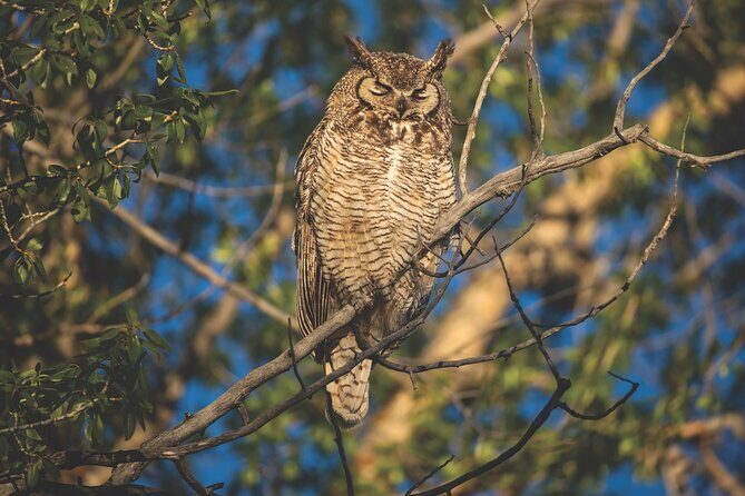 The Premier Wildlife Tours in Rocky Mountain National Park - The Itinerary in Detail