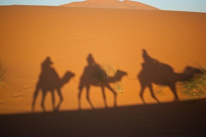 The Private 2 days Desert Tour Fez To Merzouga - Who Should Consider This Tour?