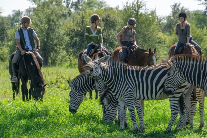 The Private Great Africa Escape 11 Days, Cape Town to Chobe - Key Points