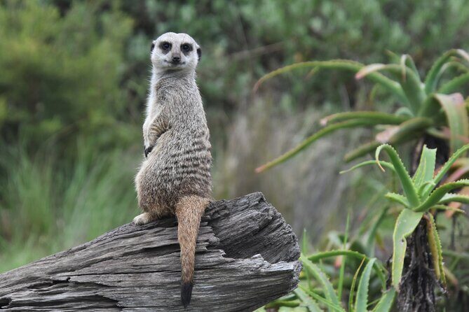 The Private Wildlife Tour - Photography and Learning: The Perfect Combo