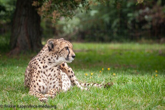 The Private Wildlife Tour - Meeting at Tenikwa Wildlife Rehabilitation & Awareness Centre