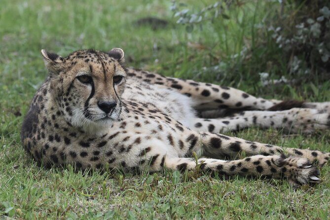 The Private Wildlife Tour - The Photography Session