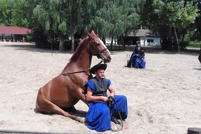 the-puszta-horse-show
