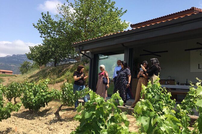 The Real Rioja Explore Tour - Private experience - In-Depth Look at the Itinerary