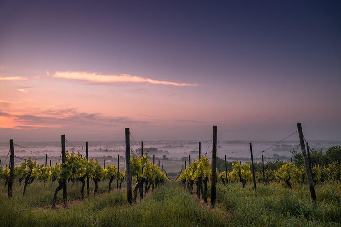The Real Rioja Explore Tour - Private experience - Final Thoughts