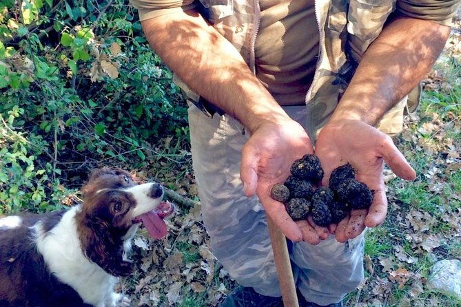 the-real-truffle-hunting-in-abruzzo