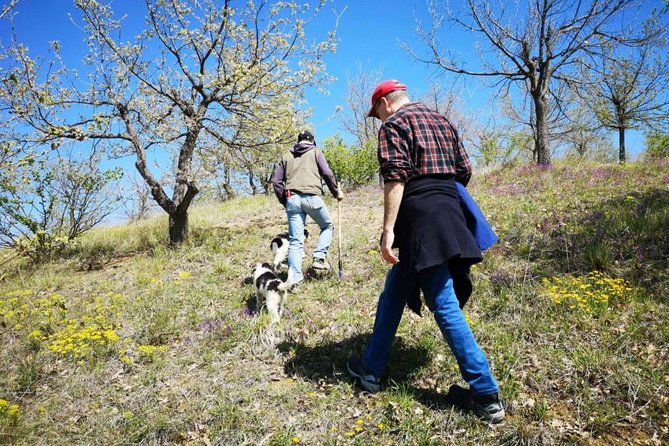 the-real-truffle-hunting-in-abruzzo