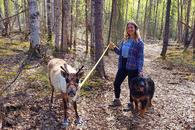 the-reindeer-grove-homestead-tour-and-forage-2