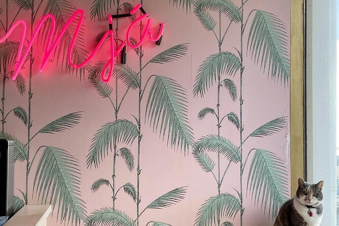 the-reykjavik-cat-walking-tour