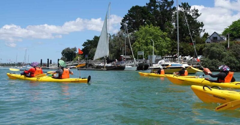 The Riverhead Tavern Kayak Tour - A Closer Look at the Experience