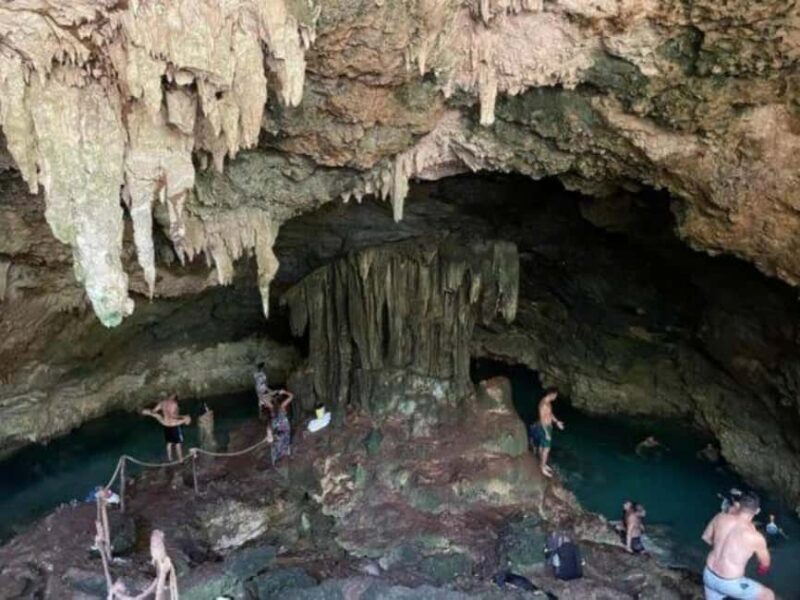 The Rock, Jozani Forest, Kuza Cave & Paje Beach - The Sum Up