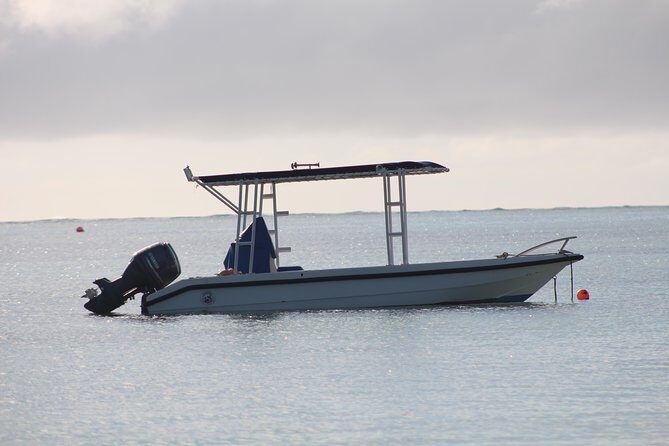 The Rock Restaurant by Speed Boat - The Sum Up: Who Will Love This Tour?  