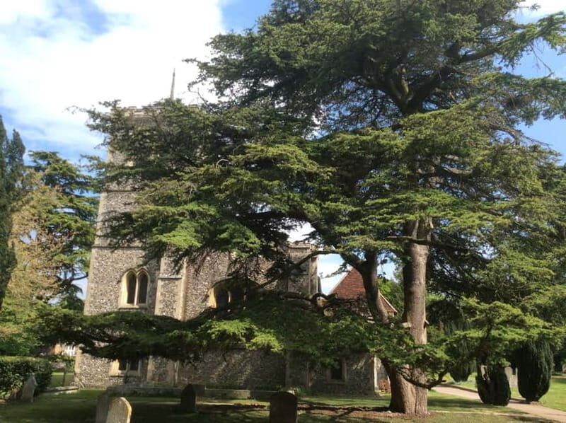 The Roman City of St. Albans Tour - FAQ