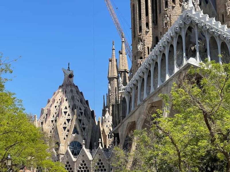 The Sacred Vision: Sagrada Família Guided Experience - What to Expect and How to Prepare