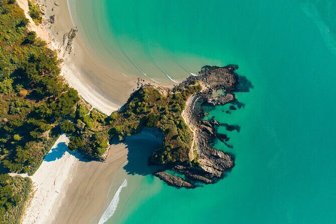 The Seasider - See Otagos Coastline From a New Perspective - Who Is This Tour Best For?