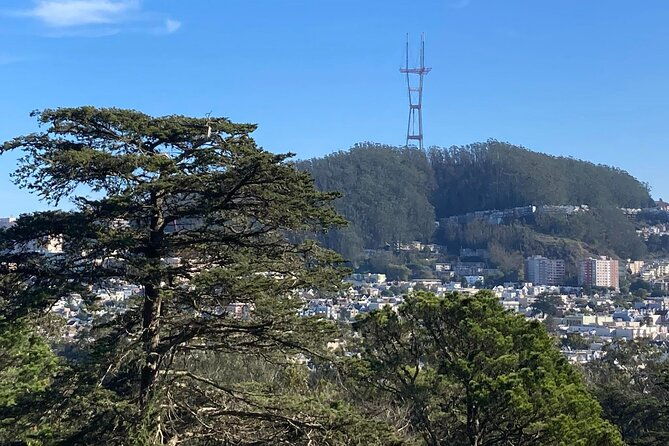 the-secrets-of-golden-gate-park-a-san-francisco-chronicle-self-guided-tour