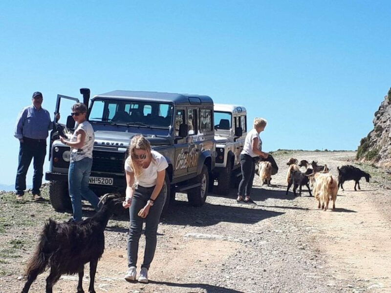 the-secrets-of-the-southern-crete-safari-tour