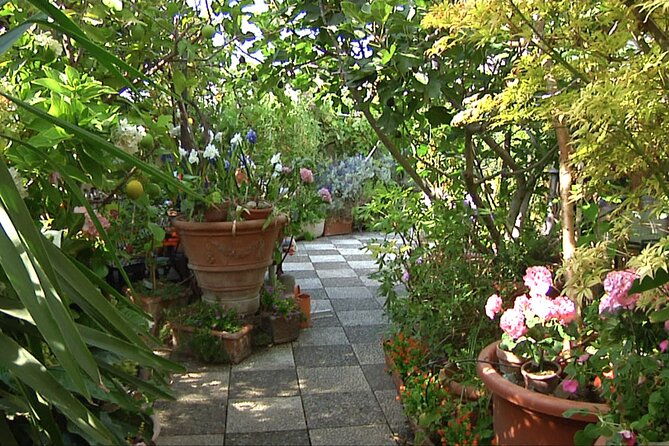 the-secrets-to-learn-pasta-and-gelato-icecream