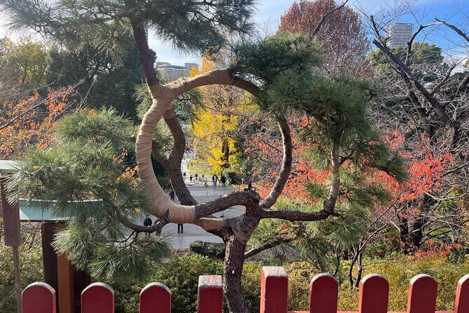 The Shogun Tour in Tokyo - Key Points