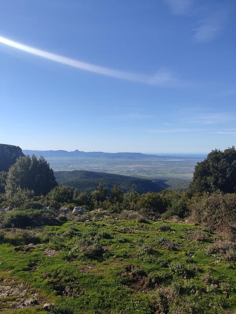 the-sleeping-volcano