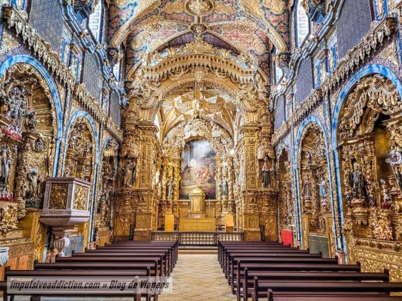 The Soul of Porto: Walking Tour with Food and Wine Tasting - A Detailed Look at the Itinerary and Experience