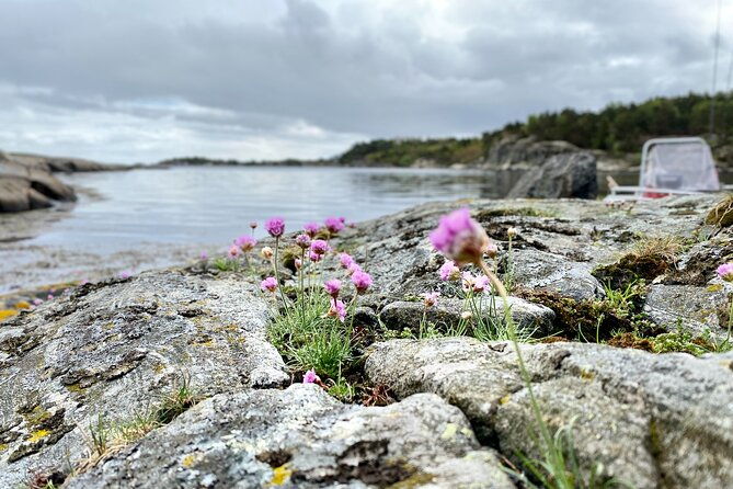 the-southern-norwegian-archipelago-experience