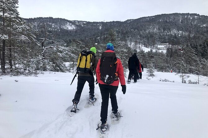 the-southern-norwegian-winter-wonderland-experience