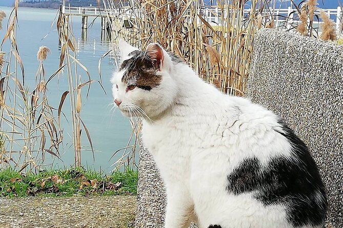 the-spell-of-lake-trasimeno-trekking-tour