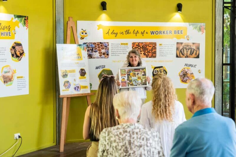 The Sunshine Coast: The Ginger Factory Play Taste & Discover - Authentic Insights from Visitors