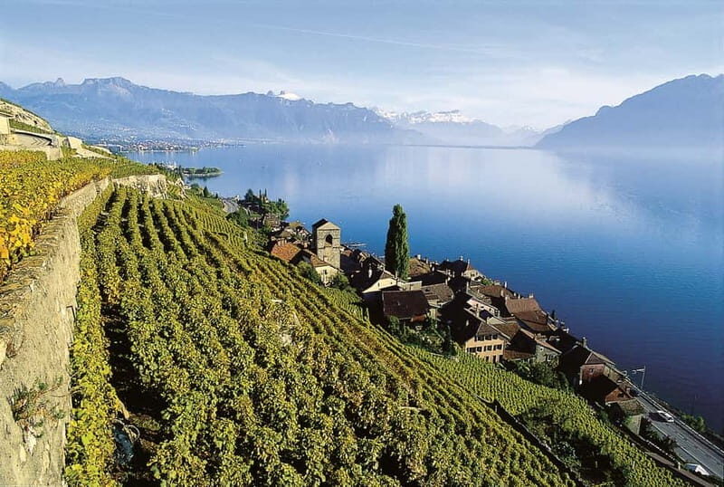 The Swiss Riviera Experience  Exclusive Private Tour - Exploring the Swiss Riviera: What to Expect on This Day Trip  