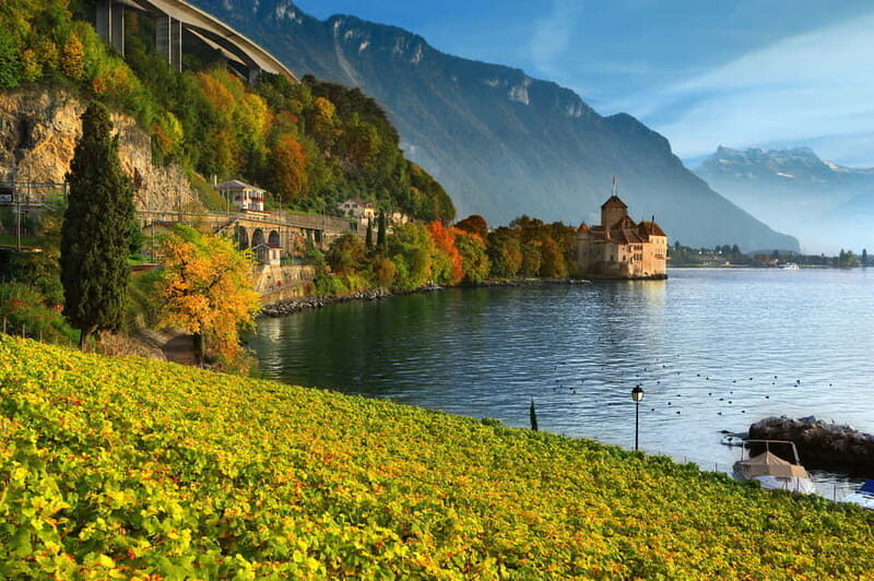 The Swiss Riviera Experience  Exclusive Private Tour - Who Should Consider This Tour?  