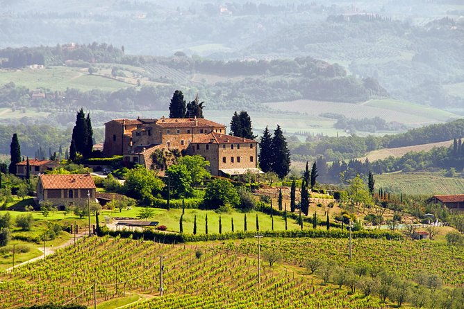 the-taste-of-chiantia-wine-and-gourmet-private-tour-with-a-truffle-based-lunch
