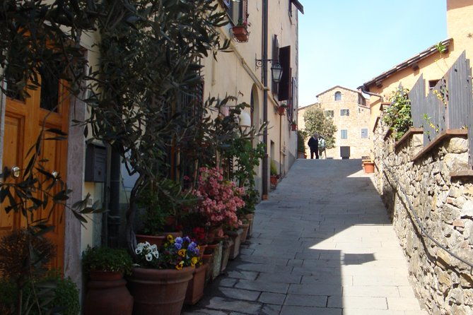 the-taste-of-chiantia-wine-and-gourmet-private-tour-with-a-truffle-based-lunch