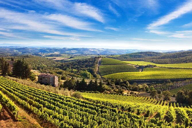 the-taste-of-chiantia-wine-and-gourmet-private-tour-with-a-truffle-based-lunch