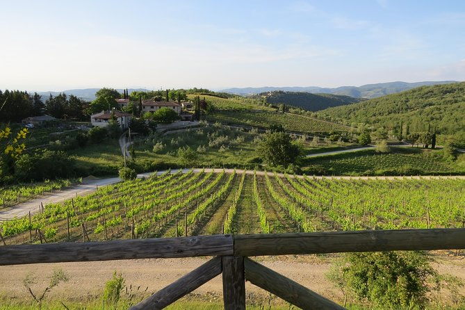 the-taste-of-chiantia-wine-and-gourmet-private-tour-with-a-truffle-based-lunch