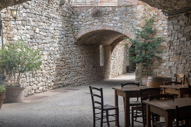 the-taste-of-chiantia-wine-and-gourmet-private-tour-with-a-truffle-based-lunch