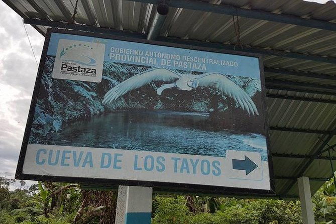the-tayos-cave-mysterious-caverns-light-wells-one-day