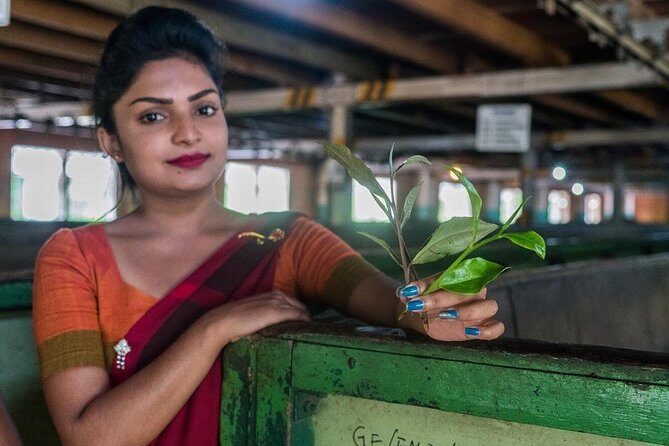 The Tea Hubs of Srilanka - Key Points