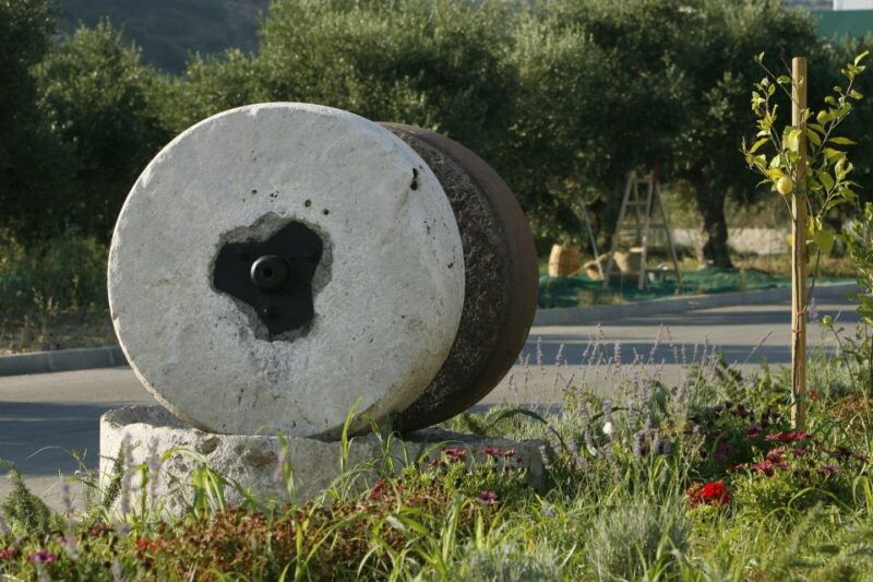 the-terra-creta-olive-oil-experience-tour