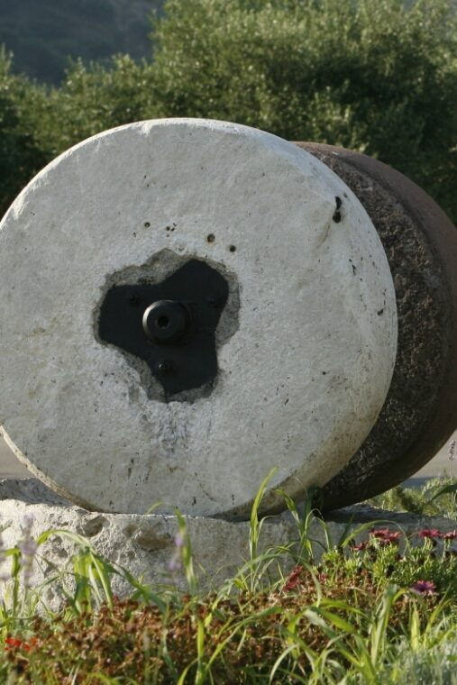 the-terra-creta-olive-oil-experience-tour