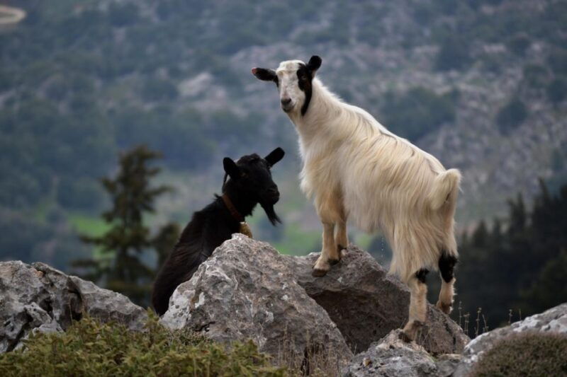 the-theriso-gorge-and-village-e-bike-adventure