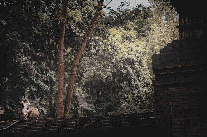 The Three Temples of Bali Half Day Group Tour - FAQs